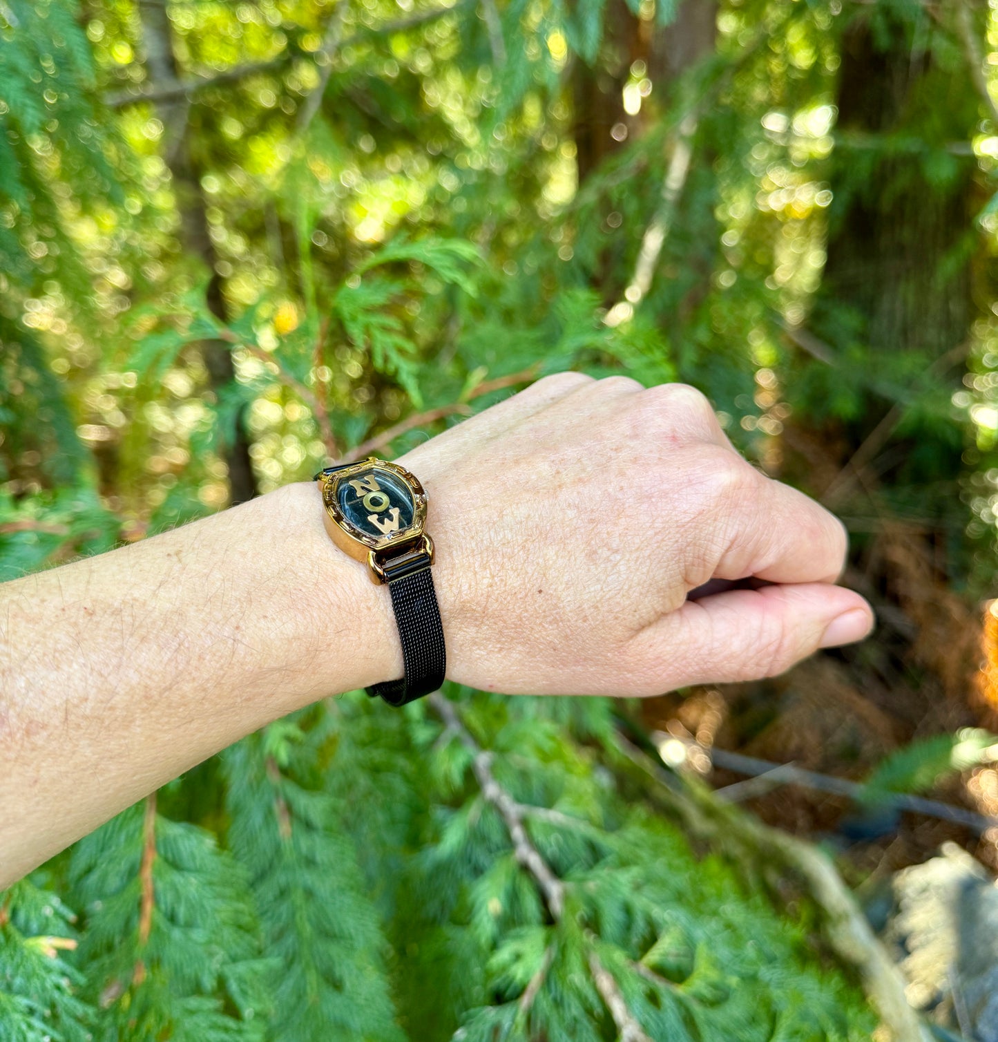 TINY TREASURE