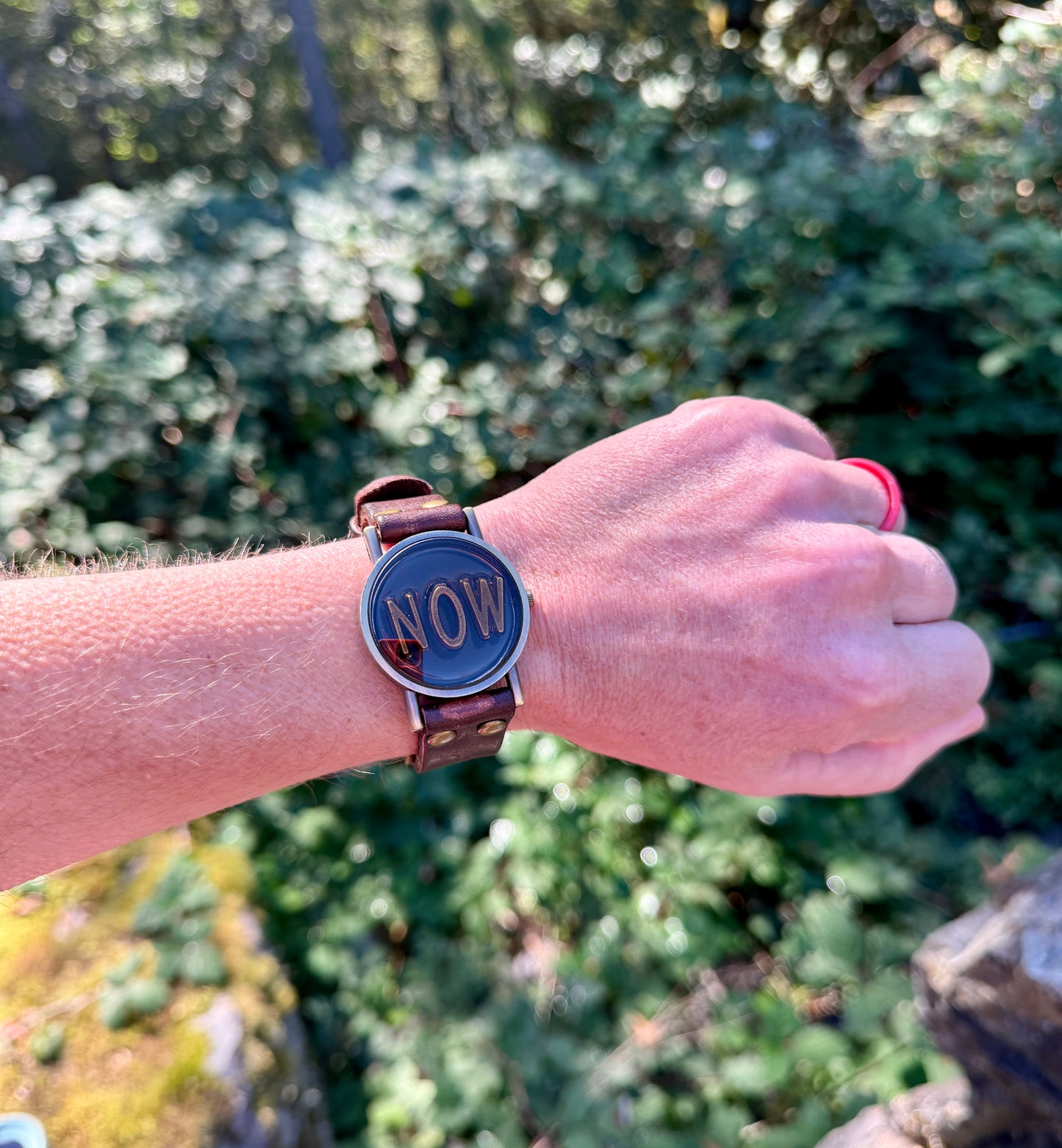 TEMPUS TERRAE